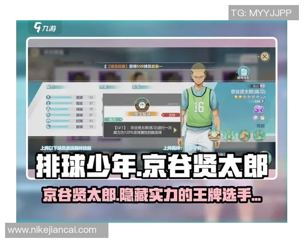 从零开始的排球之旅:全面掌握节奏与技巧的终极指南 从零开始的排球之旅:全面掌握节奏与技巧的终极指南