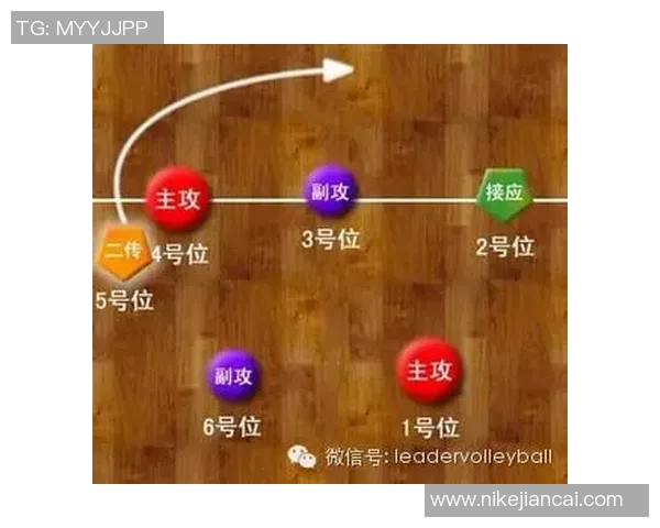 南京排球队快攻战术解析与实战应用探讨
